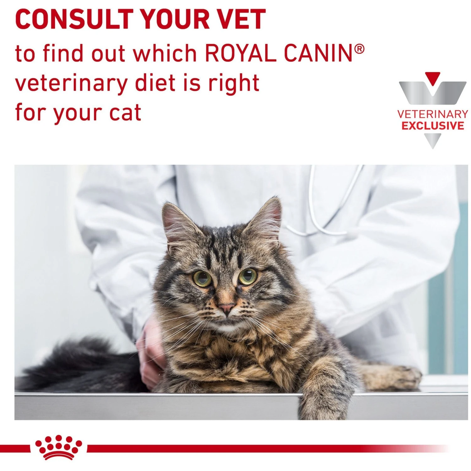Royal Canin Veterinary Diet Adult Satiety Support Weight Management Dry Cat Food 11 Royal Canin Veterinary Diet Adult Satiety Support Weight Management Dry Cat Food - Image 9