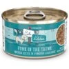 Weruva Cats In The Kitchen Funk In The Trunk Chicken In Pumpkin Consomme Grain-Free Canned Cat Food -PurePet Bites Shop 58941 MAIN. AC SS1800 V1702597838