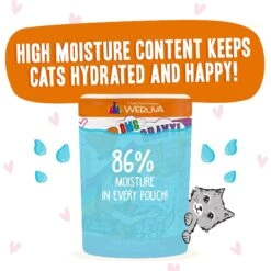 BFF Tuna & Salmon Sweet Cheeks Dinner In Gravy Wet Cat Food Pouches -PurePet Bites Shop 59060 PT3. AC SS1800 V1644911787