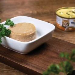 Nulo FreeStyle Chicken & Salmon Pate Wet Cat Food & Nulo FreeStyle Chicken & Chicken Liver Pate Wet Cat Food -PurePet Bites Shop 607774 PT8. AC SS1800 V1660840890