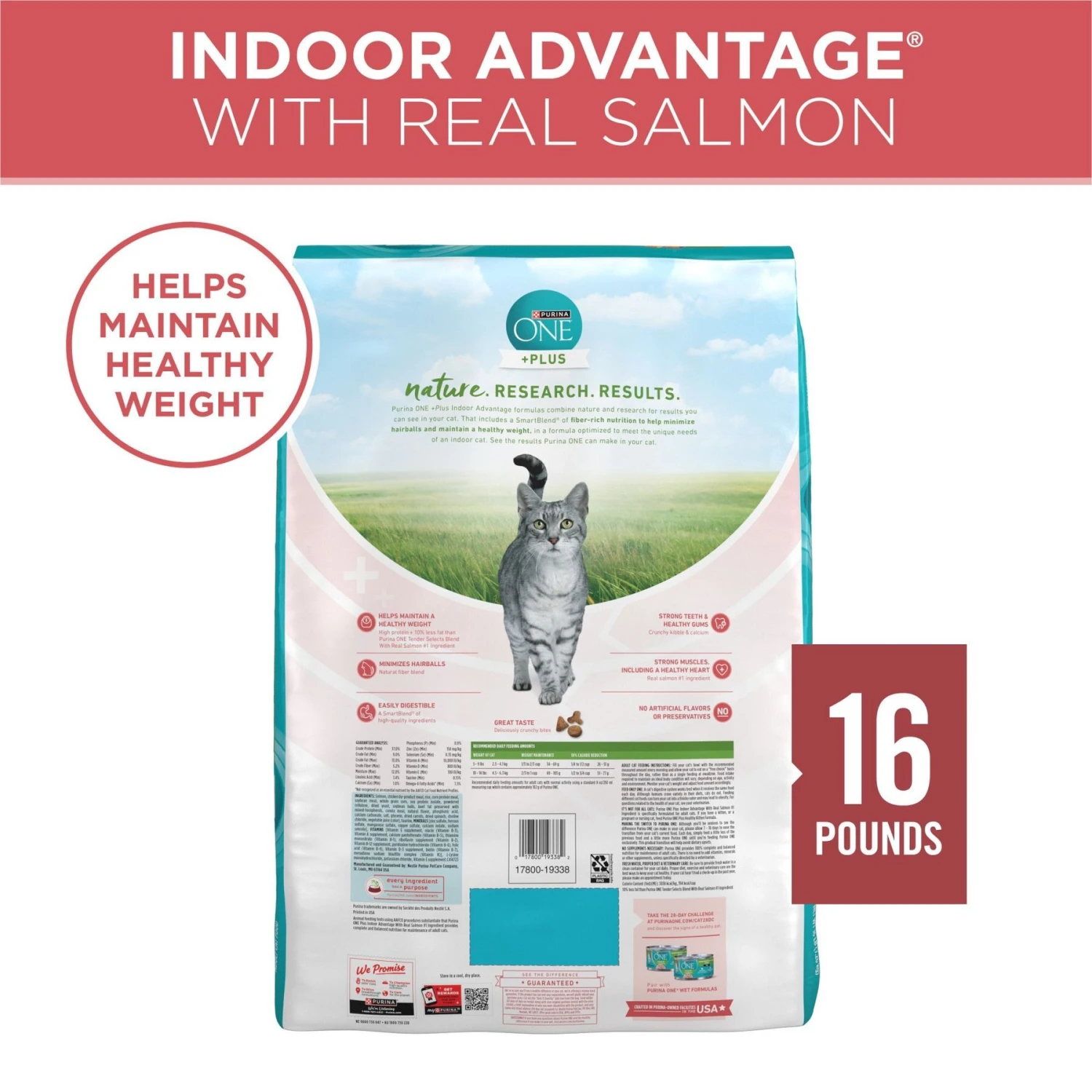 Purina ONE +Plus Indoor Advantage With Real Salmon Natural Adult Dry Cat Food 4 Purina ONE +Plus Indoor Advantage With Real Salmon Natural Adult Dry Cat Food - Image 2