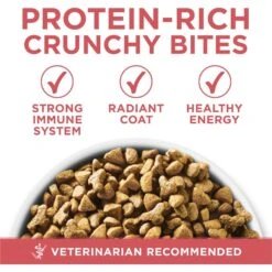 Purina ONE +Plus Indoor Advantage With Real Salmon Natural Adult Dry Cat Food 13 Purina ONE +Plus Indoor Advantage With Real Salmon Natural Adult Dry Cat Food -PurePet Bites Shop 610862 PT2. AC SS1800 V1674843980