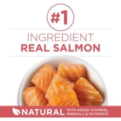 Purina ONE +Plus Indoor Advantage With Real Salmon Natural Adult Dry Cat Food 14 Purina ONE +Plus Indoor Advantage With Real Salmon Natural Adult Dry Cat Food -PurePet Bites Shop 610862 PT3. AC SS1800 V1674843979