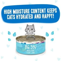 BFF OMG QT Patootie! Chicken & Turkey Dinner In Gravy Grain-Free Canned Cat Food & BFF OMG Love Munchkin! Chicken & Pumpkin Dinner In Gravy Grain-Free Canned Cat Food -PurePet Bites Shop 611718 PT6. AC SS1800 V1661548861