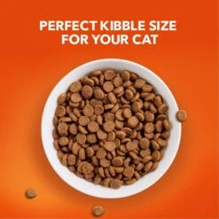 Iams ProActive Health Healthy Senior Dry Cat Food -PurePet Bites Shop 61410 PT2. AC SS1800 V1609974741