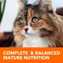 Iams ProActive Health Healthy Senior Dry Cat Food -PurePet Bites Shop 61410 PT7. AC SS1800 V1609949647