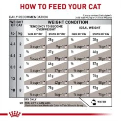 Royal Canin Veterinary Diet Adult Gastrointestinal Moderate Calorie Dry Cat Food 18 Royal Canin Veterinary Diet Adult Gastrointestinal Moderate Calorie Dry Cat Food -PurePet Bites Shop 61807 PT7. AC SS1800 V1691506494