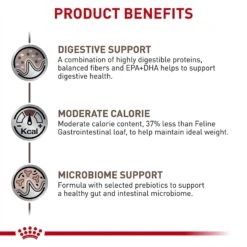 Royal Canin Veterinary Diet Adult Gastrointestinal Moderate Calorie Thin Slices In Gravy Canned Cat Food -PurePet Bites Shop 61810 PT2. AC SS1800 V1692048534