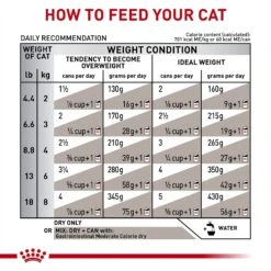 Royal Canin Veterinary Diet Adult Gastrointestinal Moderate Calorie Thin Slices In Gravy Canned Cat Food -PurePet Bites Shop 61810 PT6. AC SS1800 V1691506525
