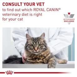 Royal Canin Veterinary Diet Adult Gastrointestinal Moderate Calorie Thin Slices In Gravy Canned Cat Food -PurePet Bites Shop 61810 PT8. AC SS1800 V1691702090