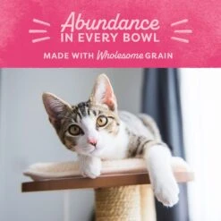 Natural Balance Fat Cats With Chicken Meal, Salmon Meal, Garbanzo Beans, Peas & Oatmeal Dry Cat Food 9 Natural Balance Fat Cats With Chicken Meal, Salmon Meal, Garbanzo Beans, Peas & Oatmeal Dry Cat Food -PurePet Bites Shop 61829 PT7. AC SS1800 V1522269621