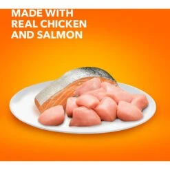 Iams ProActive Health Adult Hairball Care With Chicken & Salmon Dry Cat Food -PurePet Bites Shop 62991 PT3. AC SS1800 V1609948041