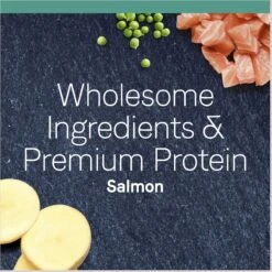 CANIDAE Grain-Free PURE Limited Ingredient Chicken Recipe Dry Cat Food & CANIDAE Grain-Free PURE Limited Ingredient Salmon Recipe Dry Cat Food -PurePet Bites Shop 632574 PT8. AC SS1800 V1663881146