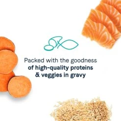 CANIDAE Balanced Bowl Salmon & Sweet Potato Recipe In Gravy Wet Cat Food, 3-oz Can, Case Of 24 & CANIDAE Adore Grain-Free Salmon & Whitefish In Broth Canned Cat Food -PurePet Bites Shop 632662 PT4. AC SS1800 V1663602800