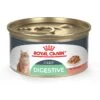 Royal Canin Feline Care Nutrition Digestive Care Thin Slices In Gravy Canned Cat Food -PurePet Bites Shop 63430 MAIN. AC SS1800 V1697762326