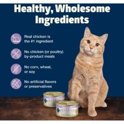 Blue Buffalo Freedom Indoor Adult Chicken Recipe Grain-Free Canned Cat Food -PurePet Bites Shop 64640 PT5. AC SS1800 V1689355753
