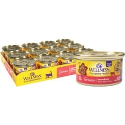 Wellness Natural Grain-Free Gravies Turkey Dinner Canned Cat Food + 2 Items -PurePet Bites Shop 646830 PT4. AC SS1800 V1664560849