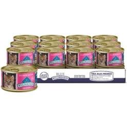 Blue Buffalo Wilderness High Protein Natural Grain-Free Chicken Kitten Dry Cat Food + 2 Items -PurePet Bites Shop 646838 PT6. AC SS1800 V1664560908