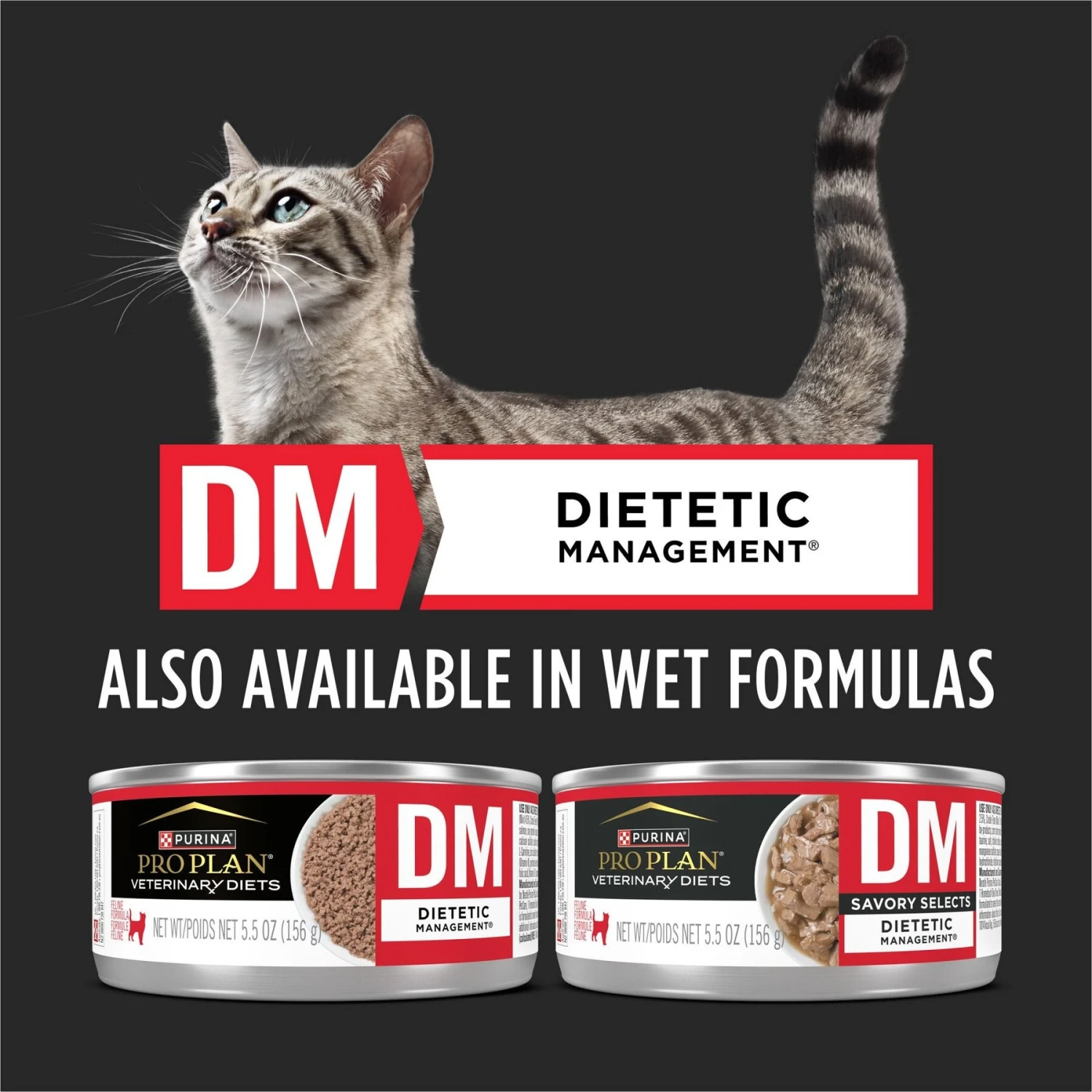 Purina Pro Plan Veterinary Diets DM Dietetic Management Dry Cat Food 8 Purina Pro Plan Veterinary Diets DM Dietetic Management Dry Cat Food - Image 6