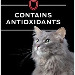 Purina Pro Plan Veterinary Diets DM Dietetic Management Wet Cat Food 18 Purina Pro Plan Veterinary Diets DM Dietetic Management Wet Cat Food -PurePet Bites Shop 64870 PT7. AC SS1800 V1700689724