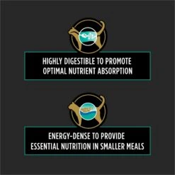 Purina Pro Plan Veterinary Diets EN Gastroenteric Dry Cat Food 13 Purina Pro Plan Veterinary Diets EN Gastroenteric Dry Cat Food -PurePet Bites Shop 64880 PT2. AC SS1800 V1700158340