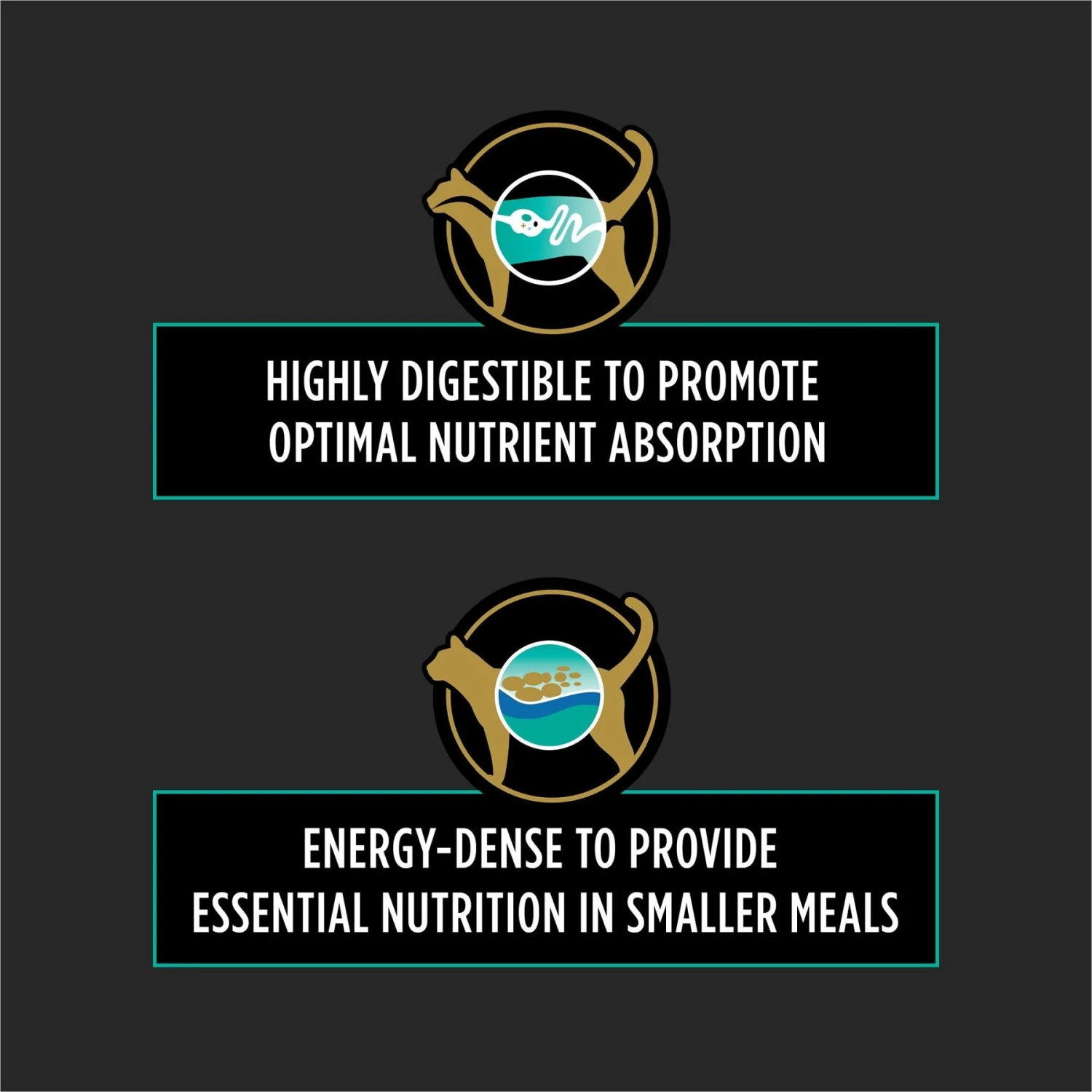 Purina Pro Plan Veterinary Diets EN Gastroenteric Dry Cat Food 5 Purina Pro Plan Veterinary Diets EN Gastroenteric Dry Cat Food - Image 3