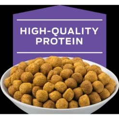 Purina Pro Plan Veterinary Diets DH Dental Health Dry Cat Food 14 Purina Pro Plan Veterinary Diets DH Dental Health Dry Cat Food -PurePet Bites Shop 64884 PT3. AC SS1800 V1700159089