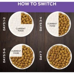 Purina Pro Plan Veterinary Diets DH Dental Health Dry Cat Food 19 Purina Pro Plan Veterinary Diets DH Dental Health Dry Cat Food -PurePet Bites Shop 64884 PT8. AC SS1800 V1700158368