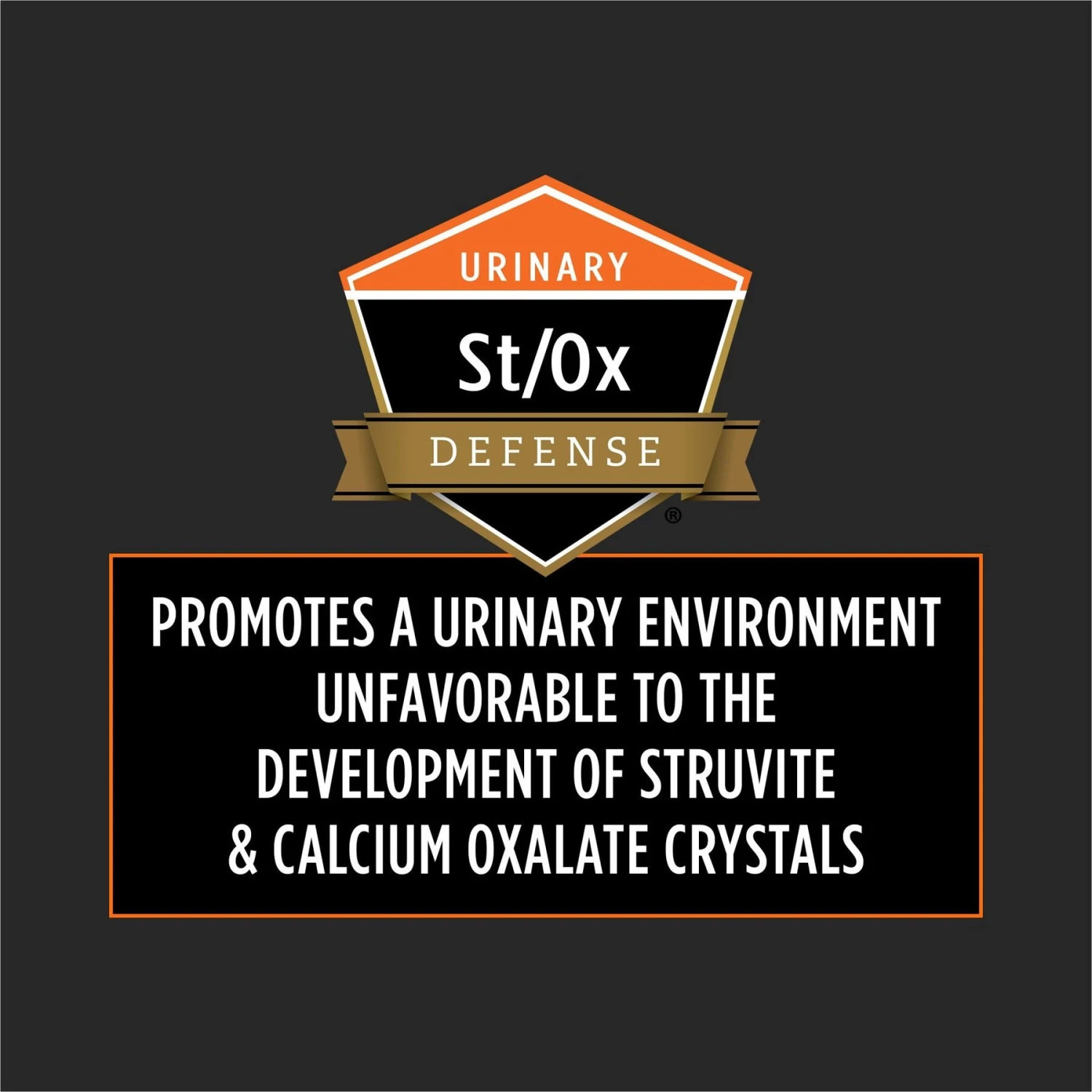 Purina Pro Plan Veterinary Diets OM Overweight Management Dry Cat Food 10 Purina Pro Plan Veterinary Diets OM Overweight Management Dry Cat Food - Image 8