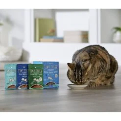 Tiny Tiger Chunks In Gravy Turkey Recipe Grain-Free Canned Cat Food & Tiny Tiger, Lickables, Variety Pack, Bisque Cat Treat & Topper -PurePet Bites Shop 652846 PT8. AC SS1800 V1668117526