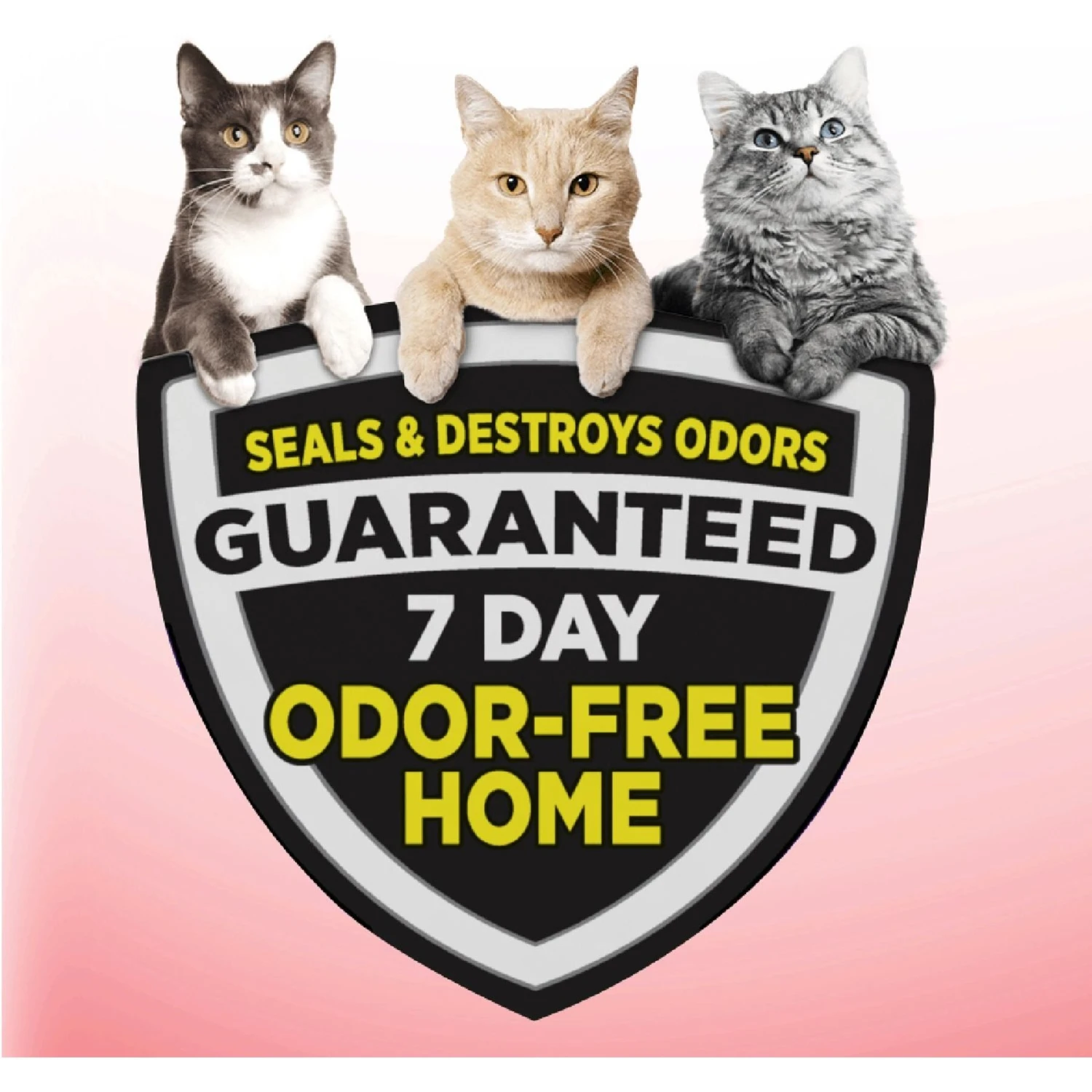 Blue Buffalo Tastefuls Sensitive Stomach Natural Chicken Adult Dry Cat Food & Arm & Hammer Litter Clump & Seal Multi-Cat Scented Clumping Clay Cat Litter 9 Blue Buffalo Tastefuls Sensitive Stomach Natural Chicken Adult Dry Cat Food & Arm & Hammer Litter Clump & Seal Multi-Cat Scented Clumping Clay Cat Litter - Image 7