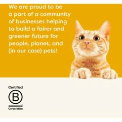 Applaws Chicken Breast With Pumpkin Canned Cat Food -PurePet Bites Shop 65377 PT6. AC SS1800 V1657661016