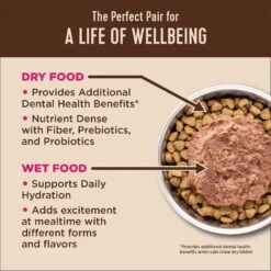 Wellness CORE Grain-Free Chicken, Turkey & Chicken Liver Formula Canned Cat Food & Wellness CORE Natural Grain-Free Turkey & Duck Pate Canned Cat Food -PurePet Bites Shop 662670 PT3. AC SS1800 V1667331282