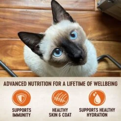 Wellness CORE Signature Selects Shredded Boneless Chicken & Chicken Liver Entree In Sauce Grain-Free Natural Canned Cat Food & Wellness CORE Signature Selects Shredded Boneless Chicken & Beef Entree In Sauce Grain-Free Canned Cat Food -PurePet Bites Shop 662678 PT8. AC SS1800 V1668736059