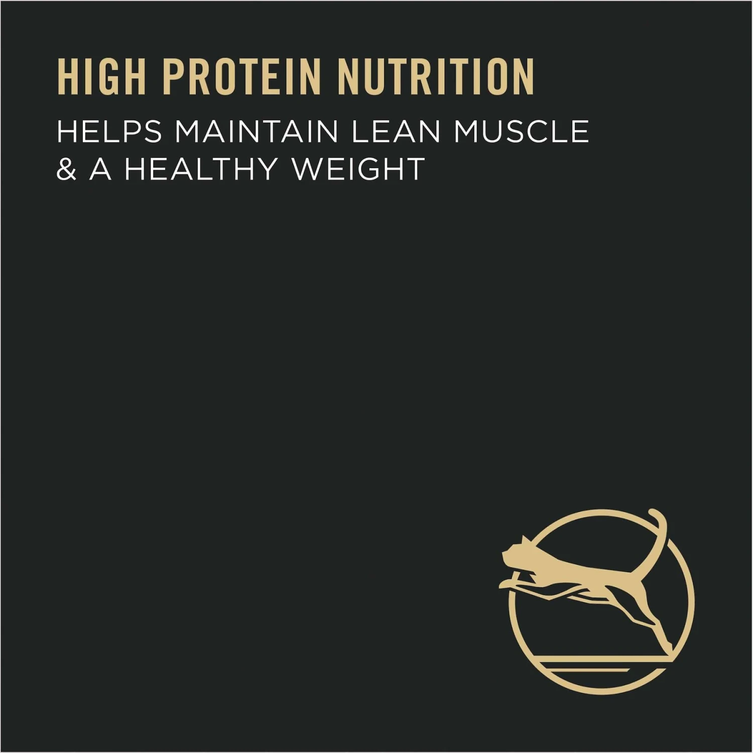 Purina Pro Plan Adult Indoor Hairball Management Salmon & Rice Formula Dry Cat Food 7 Purina Pro Plan Adult Indoor Hairball Management Salmon & Rice Formula Dry Cat Food - Image 5