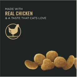 Purina Pro Plan Focus Adult Urinary Tract Health Formula Dry Cat Food -PurePet Bites Shop 67902 PT3. AC SS1800 V1642463784