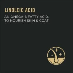 Purina Pro Plan Focus Adult Urinary Tract Health Formula Dry Cat Food -PurePet Bites Shop 67902 PT5. AC SS1800 V1642471587