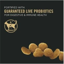 Purina Pro Plan Kitten Chicken & Rice Formula Dry Cat Food 13 Purina Pro Plan Kitten Chicken & Rice Formula Dry Cat Food -PurePet Bites Shop 67911 PT2. AC SS1800 V1649229429