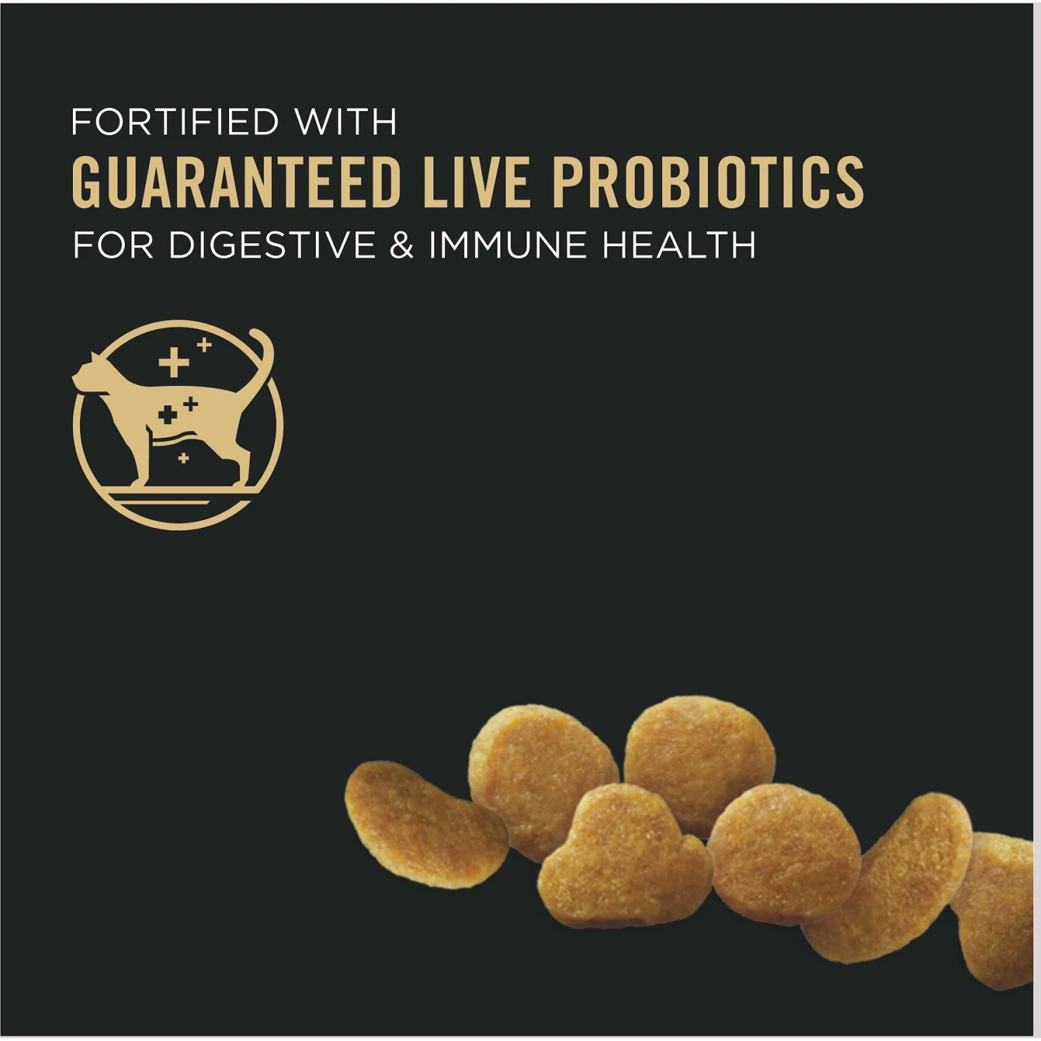 Purina Pro Plan Kitten Chicken & Rice Formula Dry Cat Food 5 Purina Pro Plan Kitten Chicken & Rice Formula Dry Cat Food - Image 3