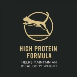 Purina Pro Plan Focus Adult Indoor Care Salmon & Rice Entree In Sauce Canned Cat Food -PurePet Bites Shop 67915 PT2. AC SS1800 V1669672511