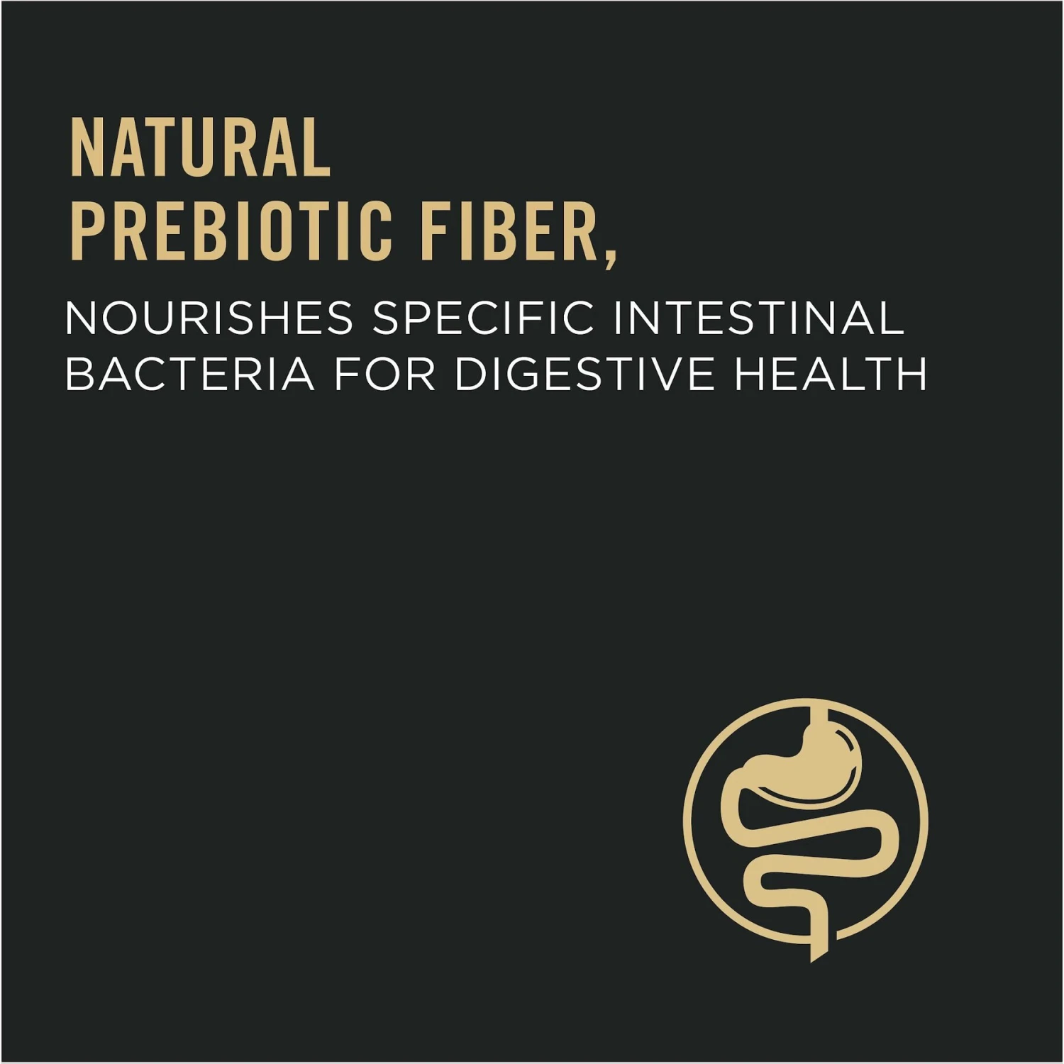 Purina Pro Plan Adult Salmon & Rice Formula Dry Cat Food 7 Purina Pro Plan Adult Salmon & Rice Formula Dry Cat Food - Image 5