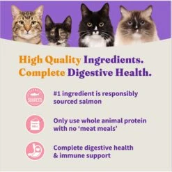 Halo Holistic Indoor Wild-Caught Salmon & Whitefish Recipe Complete Digestive Health & Healthy Weight Support Grain-Free Adult Dry Cat Food -PurePet Bites Shop 68219 PT5. AC SS1800 V1676299561