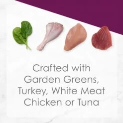 Fancy Feast Medleys Florentine Collection Pack Canned Cat Food & PrettyLitter Health Monitoring Cat Litter -PurePet Bites Shop 683158 PT4. AC SS1800 V1666189334