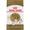 Royal Canin Feline Breed Nutrition Siamese Adult Dry Cat Food