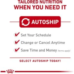 Royal Canin Feline Breed Nutrition Siamese Adult Dry Cat Food -PurePet Bites Shop 68395 PT4. AC SS1800 V1697734414