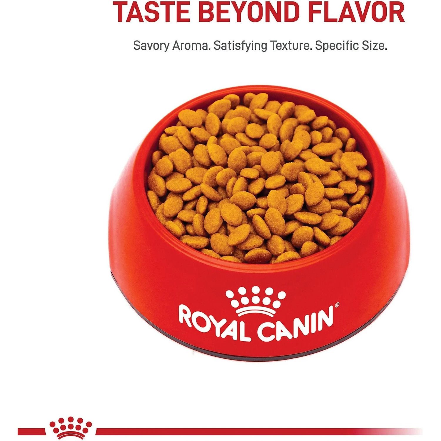 Royal Canin Feline Breed Nutrition Persian Adult Dry Cat Food 4 Royal Canin Feline Breed Nutrition Persian Adult Dry Cat Food - Image 2