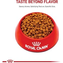 Royal Canin Feline Health Nutrition Kitten Dry Cat Food 12 Royal Canin Feline Health Nutrition Kitten Dry Cat Food -PurePet Bites Shop 68401 PT1. AC SS1800 V1697757426