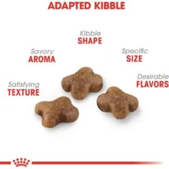 Royal Canin Feline Health Nutrition Kitten Dry Cat Food 14 Royal Canin Feline Health Nutrition Kitten Dry Cat Food -PurePet Bites Shop 68401 PT3. AC SS1800 V1697760732