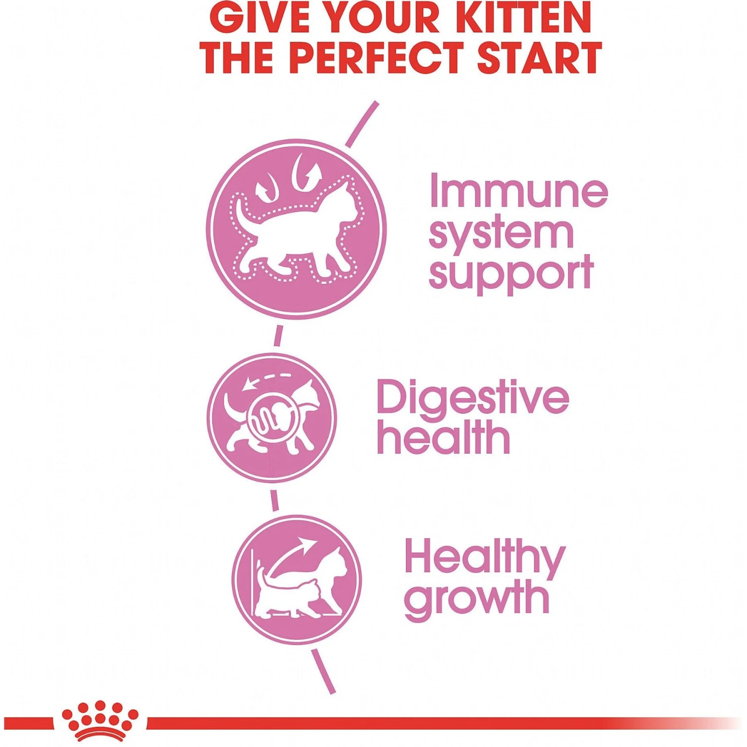 Royal Canin Feline Health Nutrition Kitten Dry Cat Food 7 Royal Canin Feline Health Nutrition Kitten Dry Cat Food - Image 5