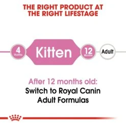 Royal Canin Feline Health Nutrition Kitten Dry Cat Food 17 Royal Canin Feline Health Nutrition Kitten Dry Cat Food -PurePet Bites Shop 68401 PT6. AC SS1800 V1697760673